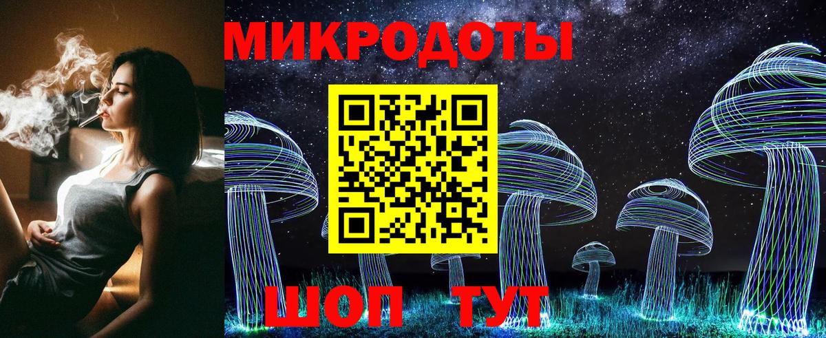 Псилоцибиновые грибы Cubensis Элиста