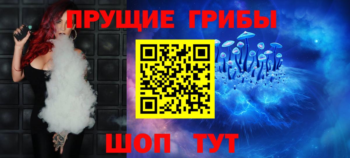 Элиста  Псилоцибиновые грибы Psilocybine cubensis  Вход с VPN 